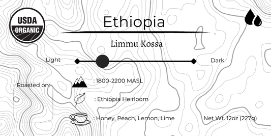 Ethiopia Limmu Kosa Washed